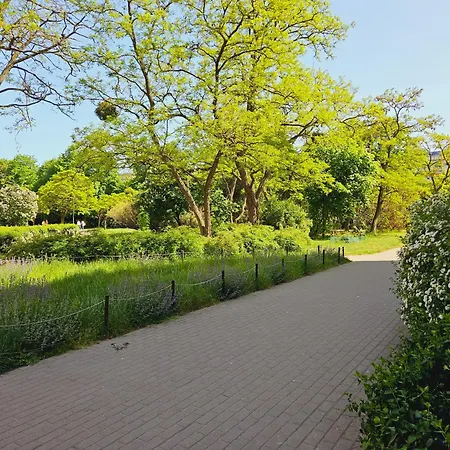 Apartment Sweet Dream *