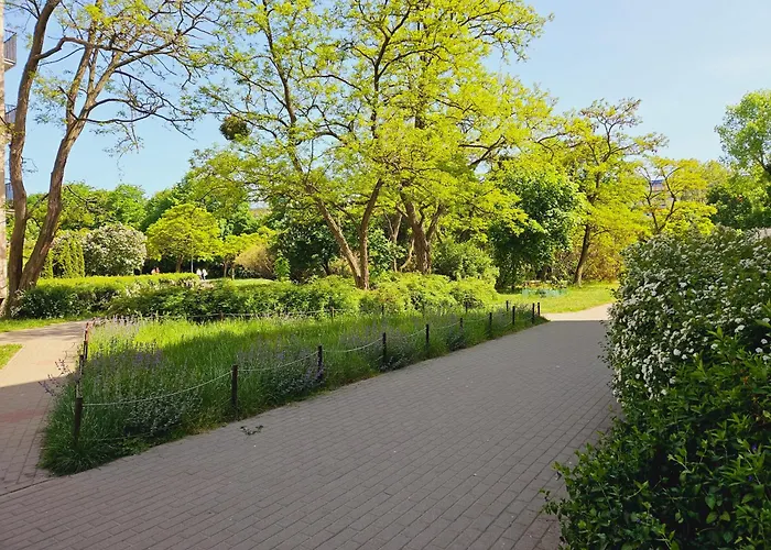 Apartman Sweet Dream *